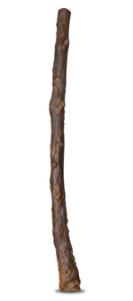 Heartland Didgeridoos (HD166)