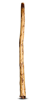 Heartland Didgeridoos (HD198)