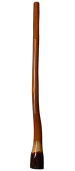 Ironbark Didgeridoo (IB111) 