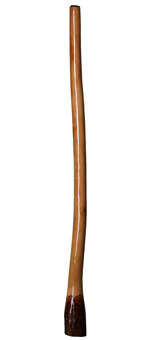 Ironbark Didgeridoo (IB120) 