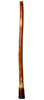 Ironbark Didgeridoo (IB124) 