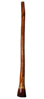 Ironbark Didgeridoo (IB127) 