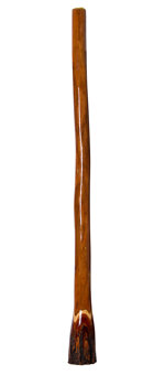 Ironbark Didgeridoo (IB135)