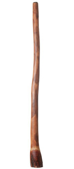 Ironbark Didgeridoo (JK012) 
