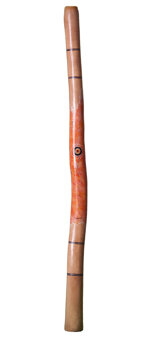 Brendan Porteous Didgeridoo (JW320)