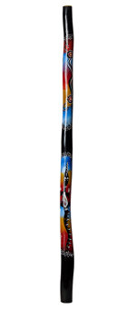 Leony Roser Didgeridoo (JW366)