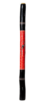 Brendan Porteous Didgeridoo (JW385)