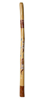 Barb Hardy Didgeridoo (JW405)