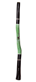 Brendan Porteous Didgeridoo (JW443)