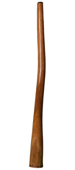 Kristian Benton Didgeridoo (KB117)