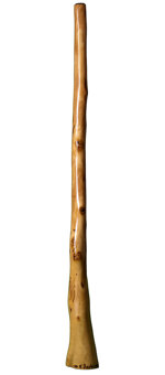 Kristian Benton Didgeridoo (KB127)