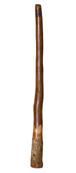 Kristian Benton Didgeridoo (KB229)