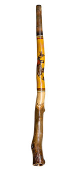 Kristian Benton Didgeridoo (KB244)