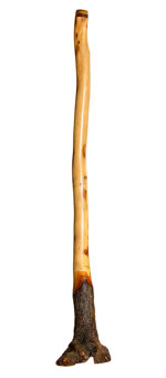 Kristian Benton Didgeridoo (KB279)