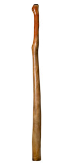 Marcos Ferrazza Didgeridoo (MF115)