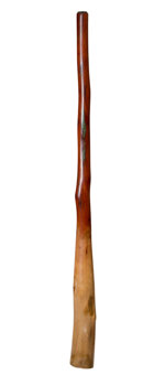 Marcos Ferrazza Didgeridoo (MF116) 