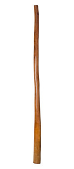 Marcos Ferrazza Didgeridoo (MF117)