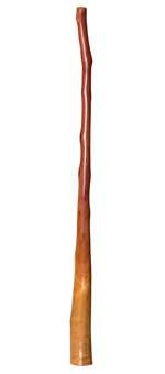 Marcos Ferrazza Didgeridoo (MF122)