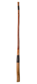 Marcos Ferrazza Didgeridoo (MF123)