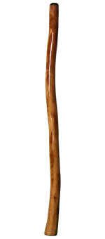 High Gloss Finish Didgeridoo (NW101)