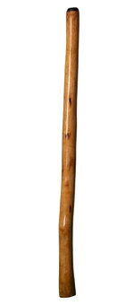 High Gloss Finish Didgeridoo (NW102)