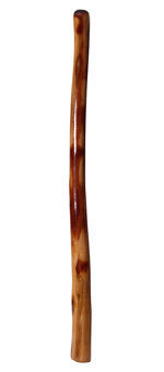 High Gloss Finish Didgeridoo (NW116)