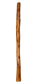 Epoxy Resin Finish Didgeridoo (NW123)