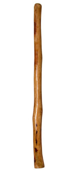 Epoxy Resin Finish Didgeridoo (NW126)