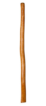 Epoxy Resin Finish Didgeridoo (NW130)