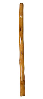 Epoxy Resin Finish Didgeridoo (NW137)
