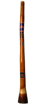 Painted Ironbark Didgeridoo (PI063) 