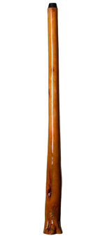 Stix Didgeridoos- Robbie Hantlemann (SX102)