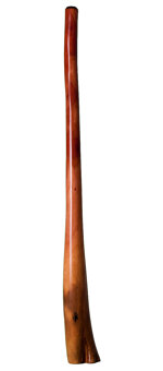 Tristan O'Meara Didgeridoo (TM154) 