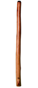 Tristan O'Meara Didgeridoo (TM156) 
