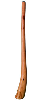 Tristan O'Meara Didgeridoo (TM169) 