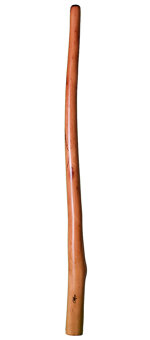 Tristan O'Meara Didgeridoo (TM159) 