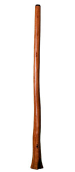Tristan O'Meara Didgeridoo (TM160)