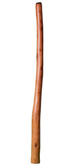 Tristan O'Meara Didgeridoo (TM162) 