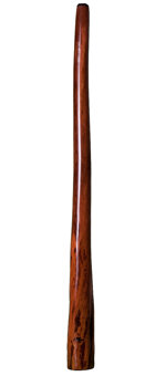 Tristan O'Meara Didgeridoo (TM163)