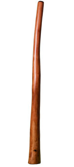 Tristan O'Meara Didgeridoo (TM165) 