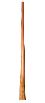 Tristan O'Meara Didgeridoo (TM170)  