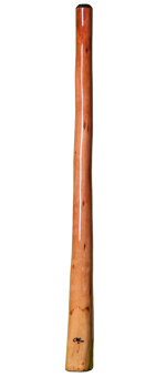 Tristan O'Meara Didgeridoo (TM174)