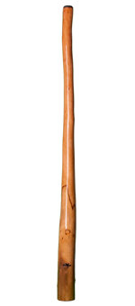Tristan O'Meara Didgeridoo (TM175) 