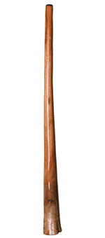 Tristan O'Meara Didgeridoo (TM176)