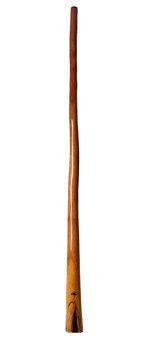 Tristan O'Meara Didgeridoo (TM178)
