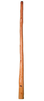 Tristan O'Meara Didgeridoo (TM179)