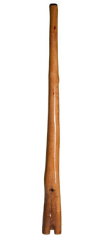 Tristan O'Meara Didgeridoo (TM180)