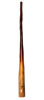 Tristan O'Meara Didgeridoo (TM181)