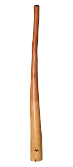 Tristan O'Meara Didgeridoo (TM182)