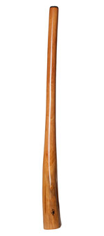 Tristan O'Meara Didgeridoo (TM183)